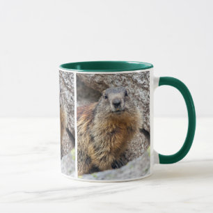 Alpenmarmot Mok