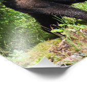 Alpha Black Beer Foto Afdruk (Hoek)