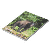 Alpha Black Beer Notitieblok (Gedraaid)