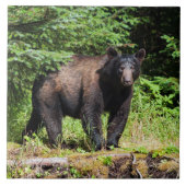 Alpha Black Beer Tegeltje (Voorkant)