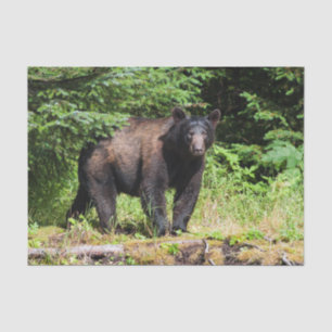 Alpha Black Beer Tissuepapier