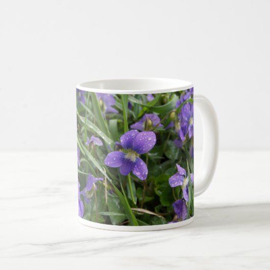 Alpha tasse de violettes du delta pi (Devant droit)