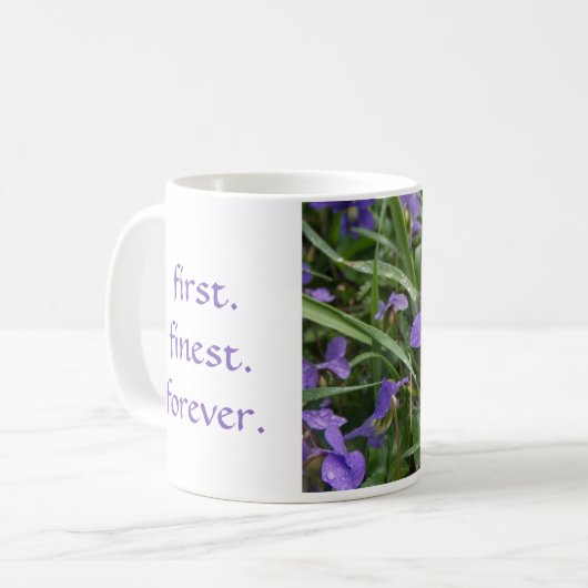 Alpha tasse de violettes du delta pi (Devant gauche)
