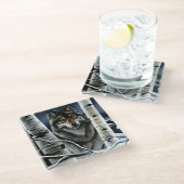 Alpha Timber Wolf Populierbomen Glazen Onderzetter (Schuin)