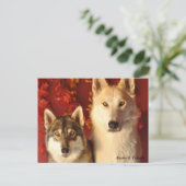 Alpha Wolves Herfst Briefkaarten (Staand voorkant)