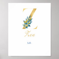 Alphabet letter Z Wall poster Name and Betekenis