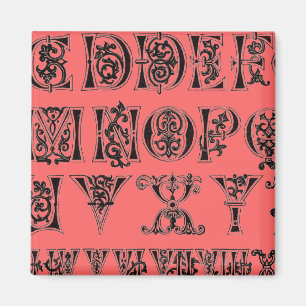 Alphabet Magnet Magneet