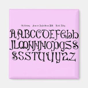 Alphabet Magnet Magneet