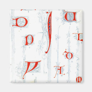 Alphabet Magnet Magneet