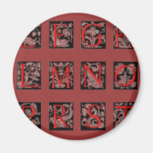 Alphabet Magnet Magneet