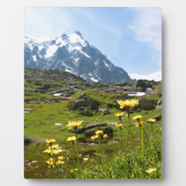 Alpiene bloemen - Mooi! Fotoplaat