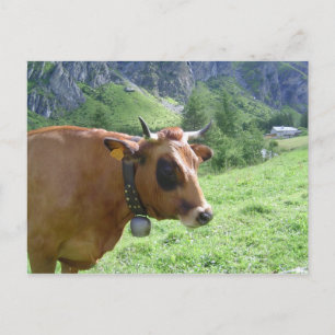 Alpiene Cow Briefkaart