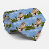 Alpiene marmot op de rots stropdas (Opgerold)