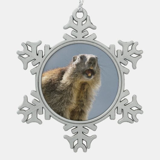 Alpiene marmot op rots tin sneeuwvlok ornament (Voorkant)