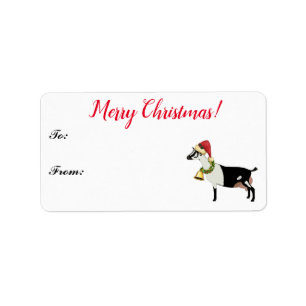 Alpine Dairy Goat met kerstcadeLabel Etiket