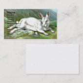 Alpine Hare Visitekaartje (Voorkant / Achterkant)