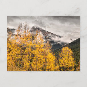 Alpine Loop Silverton, Colorado Briefkaart