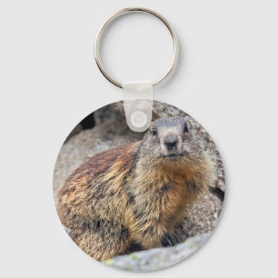 Alpine Marmot Keyring Sleutelhanger
