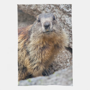 Alpine Marmot Kitchen Towel Theedoek