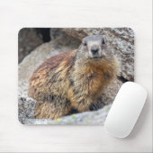 Alpine Marmot Mousemat Muismat (Met muis)