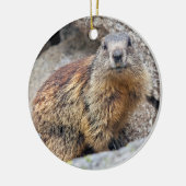 Alpine Marmot Ornament (Links)