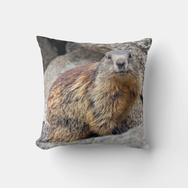 Alpine Marmot Pillow Kussen (Voorkant)