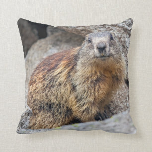 Alpine Marmot Pillow Kussen
