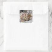 Alpine Marmot Sticker (Tas)