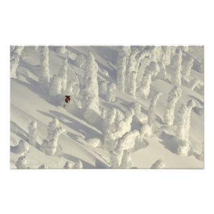 Alpines skiër in dikke sneeuwgeesten bij Big Foto Afdruk