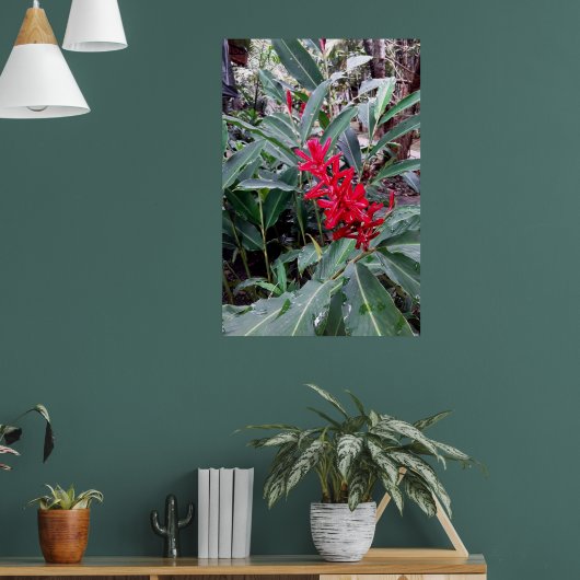 Alpínia purpurata 1 poster (Woonkamer 1)