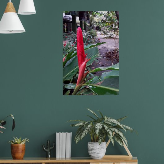 Alpínia purpurata 2 poster (Woonkamer 1)