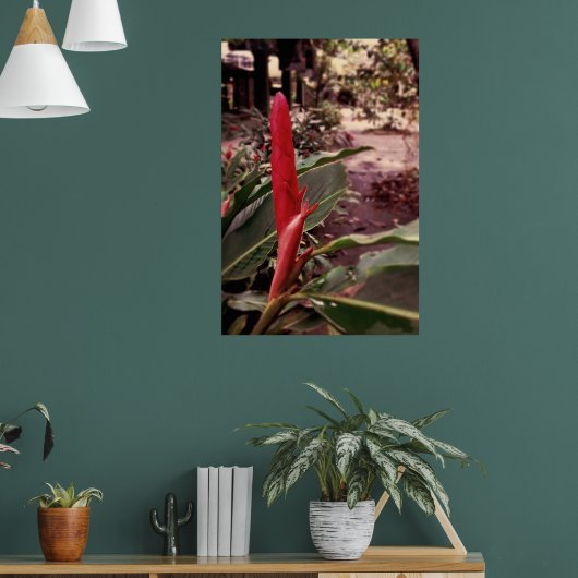 Alpínia purpurata 3 poster (Woonkamer 1)