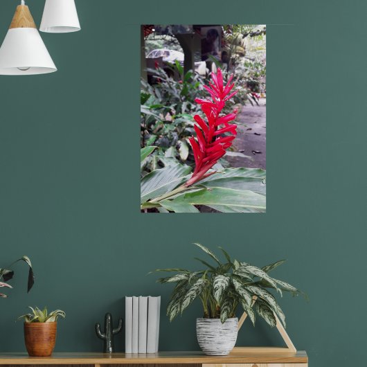 Alpínia purpurata 4 poster (Woonkamer 1)