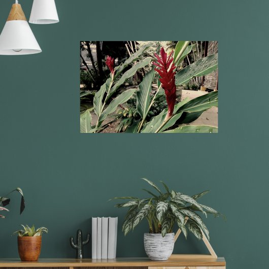 Alpínia purpurata poster (Woonkamer 1)