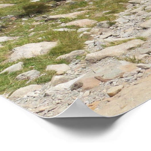 Alps Chamonix Poster (Hoek)