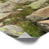 Alps Chamonix Poster (Hoek)