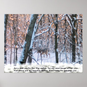 Als de Deer Pants voor het water... Poster