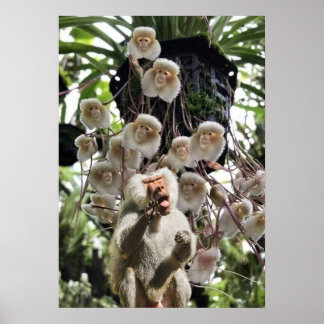 Als de natuur de natuur kopieert. poster