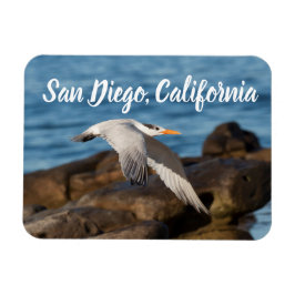Als de Tern vliegt San Diego, Californië Magneet