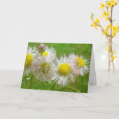  als een Daisy Kaart (Gele Bloem)
