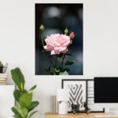 Als een roos poster (Thuiskantoor)