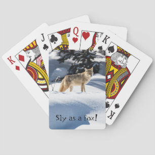 Als een vos! Kaarten afspelen met dierkoeien