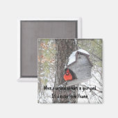 Als er een kardinaal in je tuin verschijnt. Magnee Magneet (Voorkant / Achterkant)