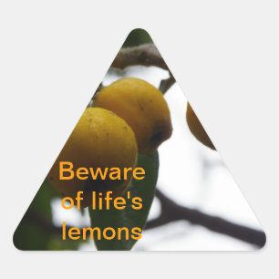 Als het leven je leemten geeft... driehoek sticker