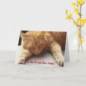 Als het leven te zwaar wordt Inspirerend Kaart Cat (Gele Bloem)