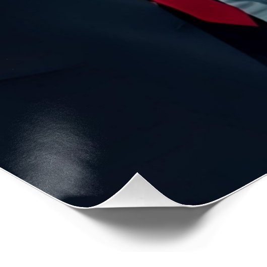 Als het President dom is Perfect Poster (Hoek)