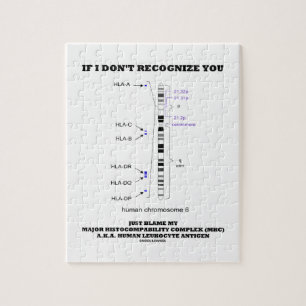 Als ik je niet herken, ben je de schuld van mijn b legpuzzel