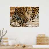 Als ik maar...kan worden gered poster (Keuken)