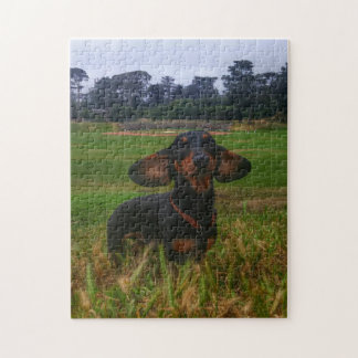 Als je het bouwt, komen ze legpuzzel