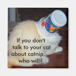 Als je niet met je kat over kattenkruid praat... w magneet